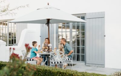 Explore Local: Where the Winelands Come Alive